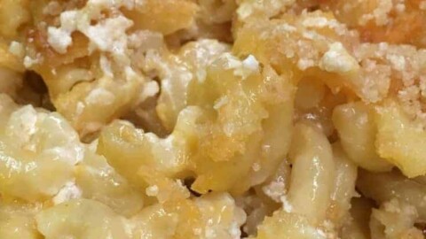 easy baked mac and cheese with evaporated milk
