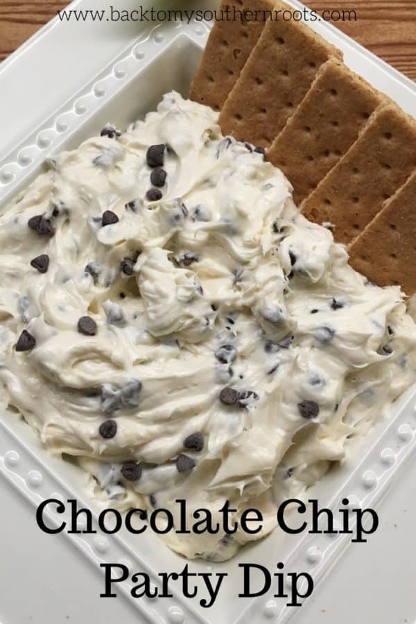 Easy And Creamy Chocolate Chip Dip