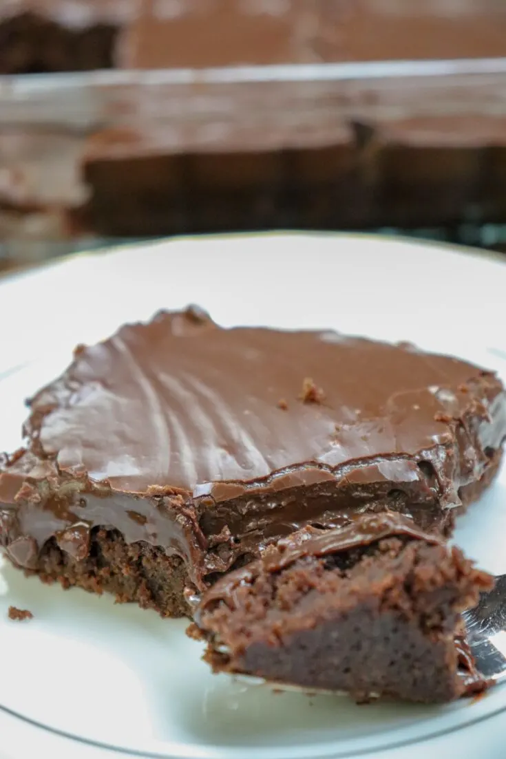 Chocolate Fudge Brownies - Back To My Southern Roots