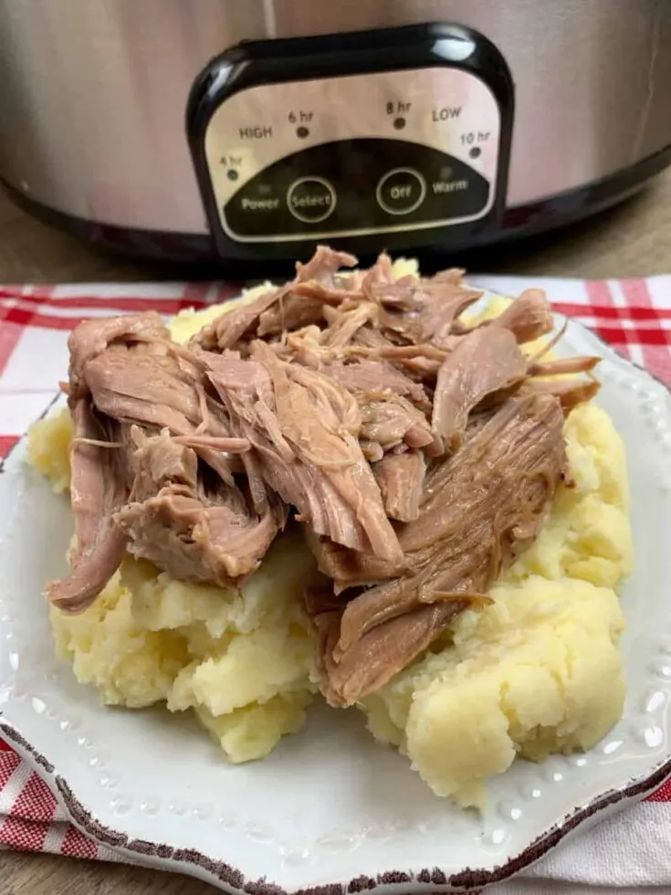 CROCKPOT NOT-THE-REAL-THING PORK SHOULDER & Ridgewood Sauce — Dale Knows  How To Host