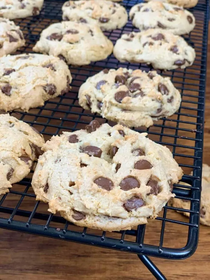 Vegan Banana Chocolate Chip Cookies - Back To My Southern Roots