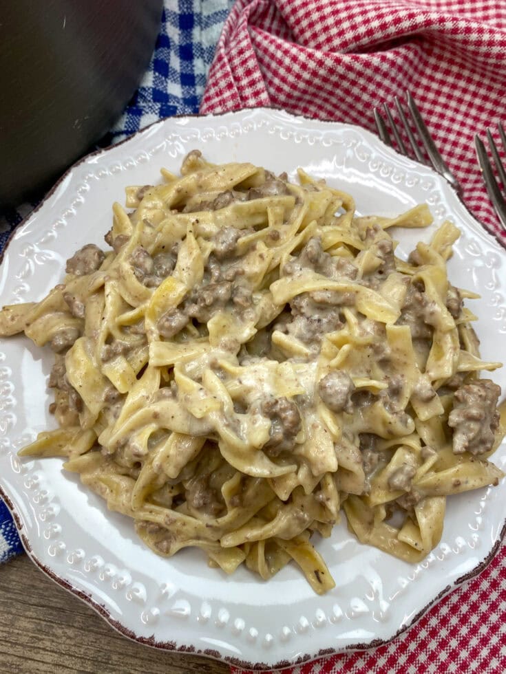 Copycat Homemade Hamburger Helper Beef Stroganoff - Back To My Southern ...