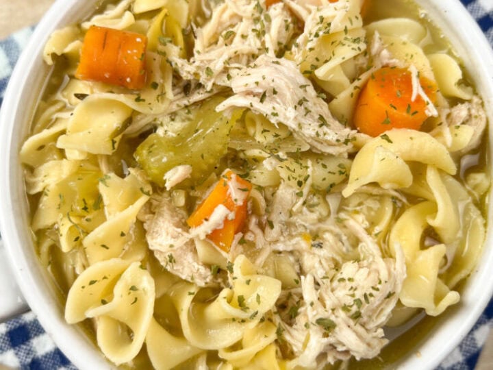 Chicken Noodle Soup with Video ⋆ Real Housemoms