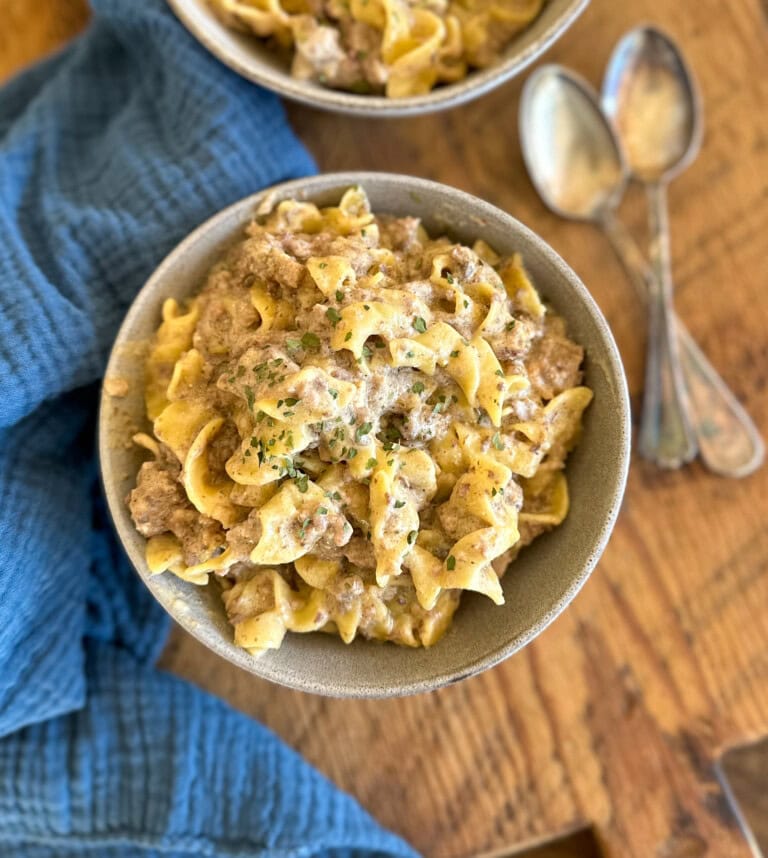 Ground beef stroganoff in a bowl.