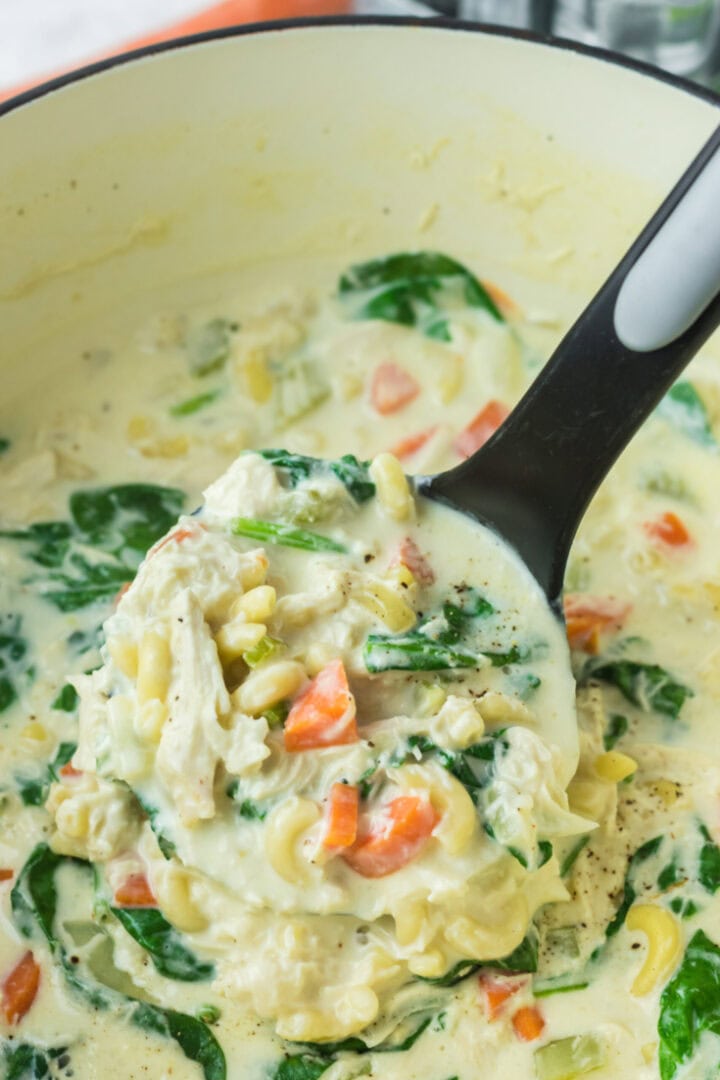 The Best Creamy Crack Chicken Noodle Soup Recipe - Back To My Southern ...